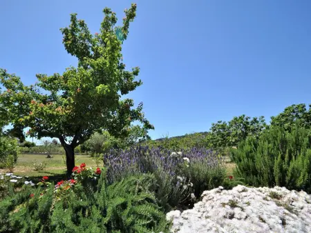 Villa SON RUBI en Selva (Serra de Tramuntana) con barbacoa y piscina privada- V - Photo 34