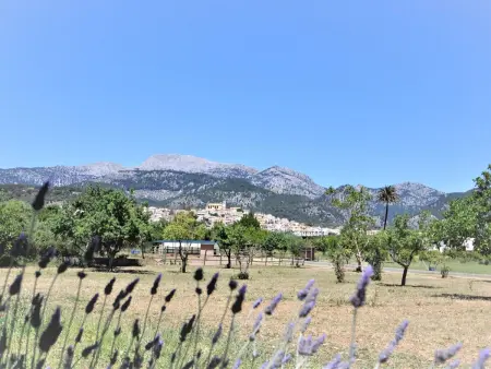 Villa SON RUBI en Selva (Serra de Tramuntana) con barbacoa y piscina privada- V - Photo 43