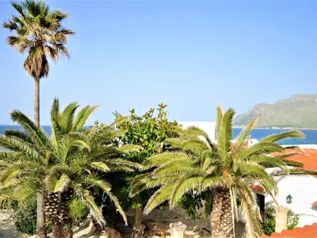 Villa XOROI con Piscina en Betlem (Mallorca) con vistas a la Bahía de Alcudia y - Photo 39