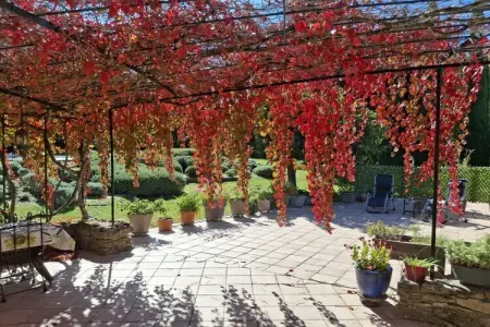 433704, Villa à Malaucène avec piscine - Photo 8