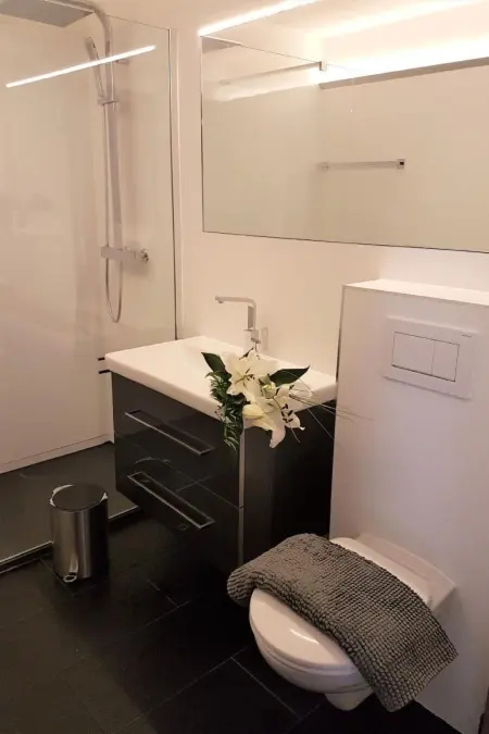 mit Bergblick, Appartement 3 personnes à Brissago - Photo 18