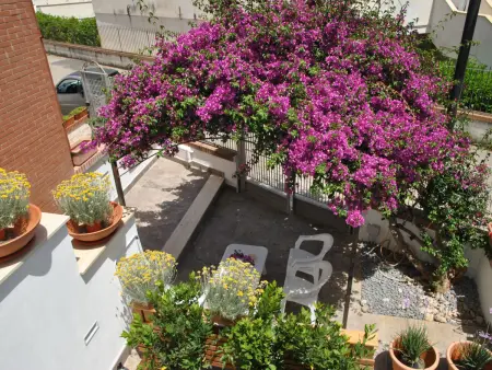 Bouganville, Maison 3 personnes à Sperlonga - Photo 22