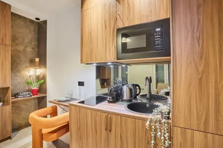 VINCENNES, Suite Premium face au Château de Vincennes - Photo 1