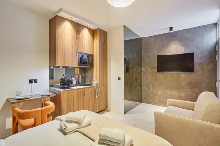 VINCENNES, Suite Premium face au Château de Vincennes - Photo 4