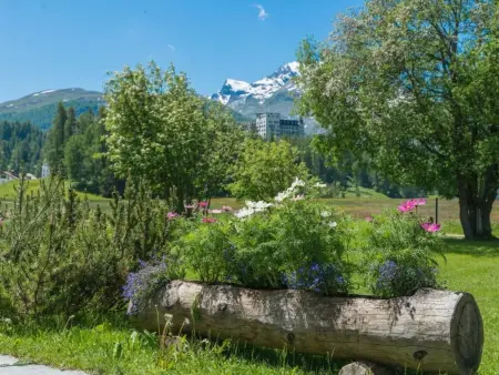 Chesa Flur Sulagl 2, Appartement 2 personnes à Sils Maria - Photo 8