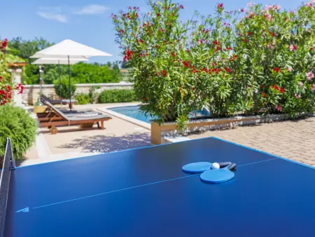 Villa Christina, Maison 10 personnes à Tinjan - Photo 18