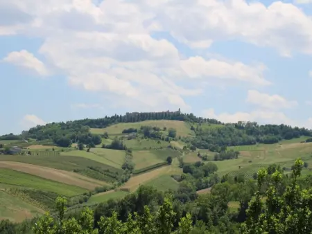 Casa Sacciofa in Monte Rinaldo, Maison 12 personnes à Montelparo - Photo 24