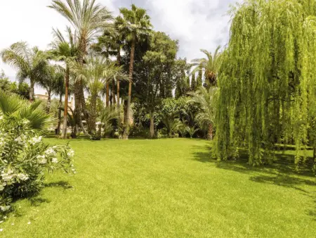 Grandiose Villa ,5 Schlafzimmer in der Nähe des Zentrums . - Photo 39