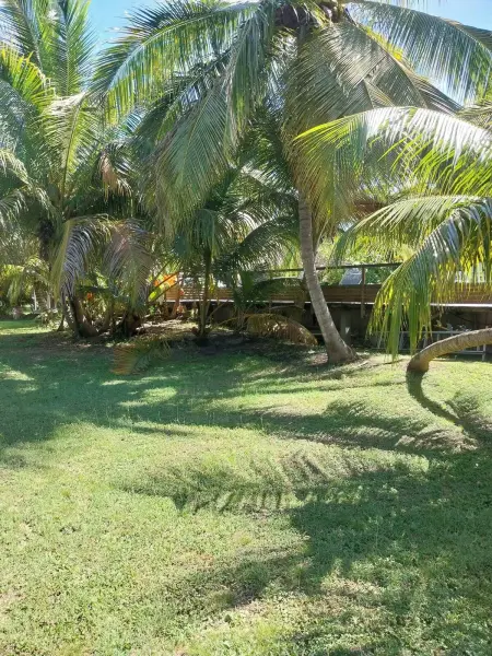 Bungalow moderne avec jardin privé à Grand Bourg - Photo 13