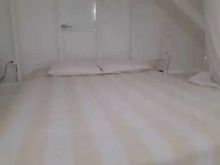 Bungalow avec Jacuzzi près de Grand-Bourg - 39 m² - Photo 6
