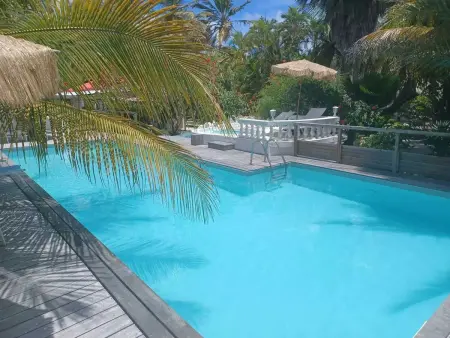 Bungalow avec Jacuzzi près de Grand-Bourg - 39 m² - Photo 7
