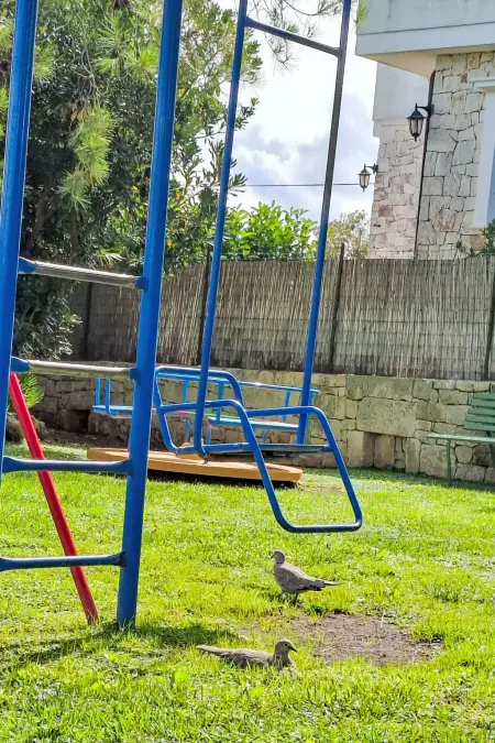 Agriturismo Salinola da Fabio&Paola, Appartement 15 personnes à Ostuni - Photo 27