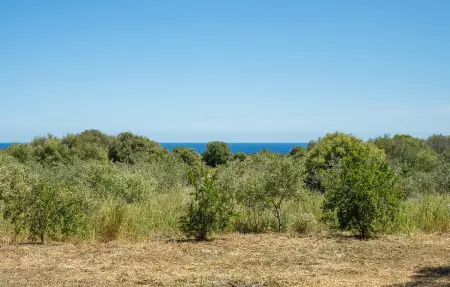Maison 4 personnes à Orosei - Photo 17