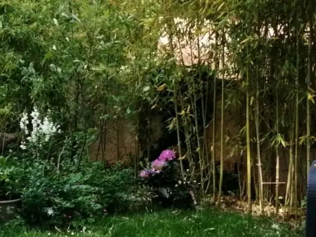 Haus mit Charme Landschaft von Aix, Maison 6 personnes à Aix en Provence - Photo 21
