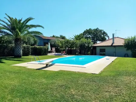 Code AL1  Villino Colle Nasone, Maison 6 personnes à Tortoreto Lido - Photo 25
