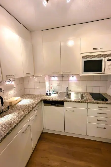 Hotel Apartment, Appartement 5 personnes à Beatenberg - Photo 19