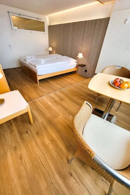 Hotel Apartment, Appartement 5 personnes à Beatenberg - Photo 27