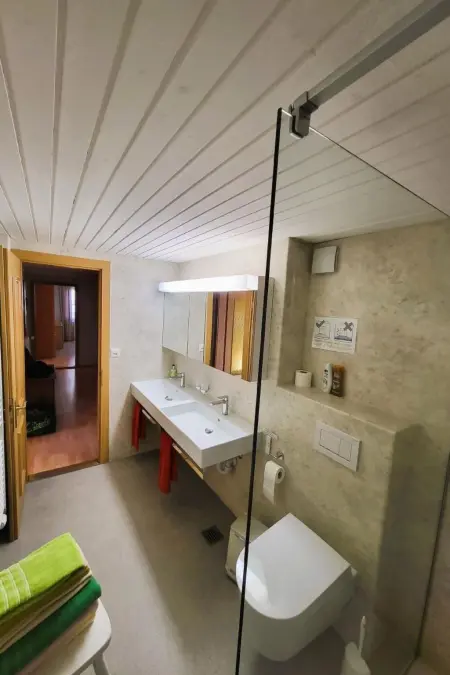 Chalet Lilo Big view, Appartement 6 personnes à Beatenberg - Photo 10