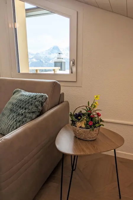 LiloTopMountainView, Appartement 3 personnes à Beatenberg - Photo 8