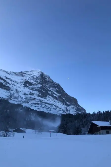ChaletSwissalp Topof, Maison 6 personnes à Grindelwald - Photo 5