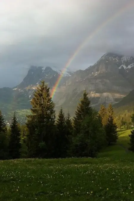 ChaletSwissalp Topof, Maison 6 personnes à Grindelwald - Photo 9