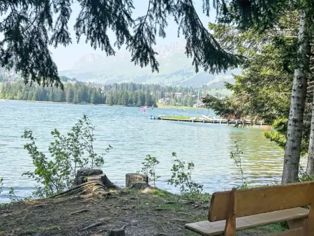 Casa Cristallina, Appartement 4 personnes à Lenzerheide - Photo 2