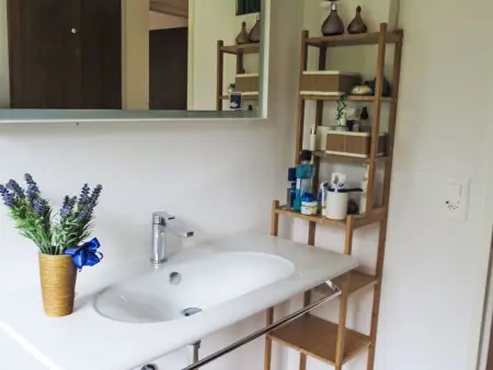 Casa Cristallina, Appartement 4 personnes à Lenzerheide - Photo 9