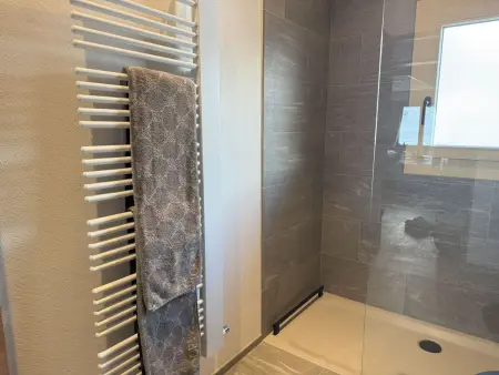 Casa Ladina 4, Appartement 8 personnes à Falera - Photo 18