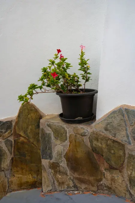 für 4 Personen ca. 70 m&sup2; in Bocacangrejo, Teneriffa (Ostküste von Teneriff - Photo 23