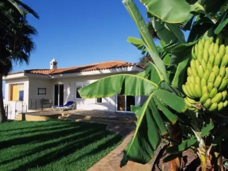 Casa del Sol, Maison 6 personnes à La Matanza de Acentejo - Photo 11