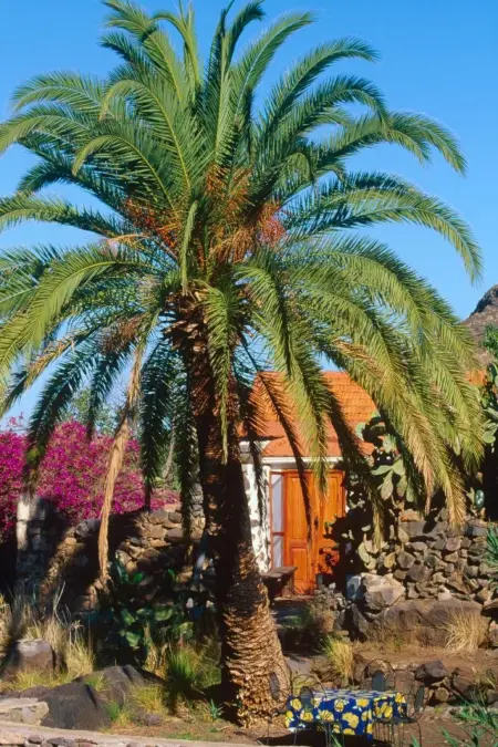 in El Risco mit Garten, Terrasse und Grill, Maison 2 personnes à Agaete - Photo 17