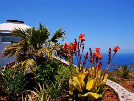 Moderne Architekten-Villa mit Infinity-Pool und Meerblick - Photo 39