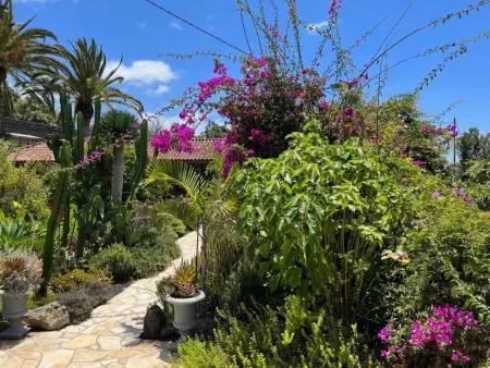 Casa Jardín Tropical, Maison 3 personnes à Llanos de Aridane - Photo 14