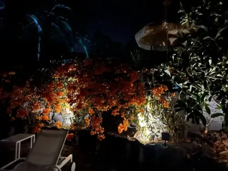 Casa Jardín Tropical, Maison 3 personnes à Llanos de Aridane - Photo 21