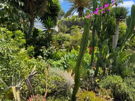 Casa Jardín Tropical, Maison 3 personnes à Llanos de Aridane - Photo 22