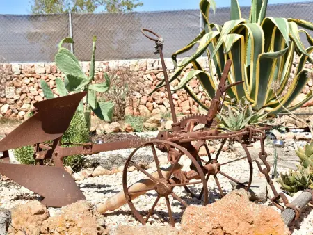 Barralina, Maison 3 personnes à Cala Pi - Photo 19