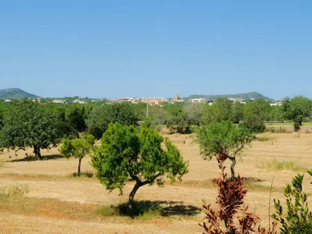 Cullera, Maison 6 personnes à Santanyí - Photo 36