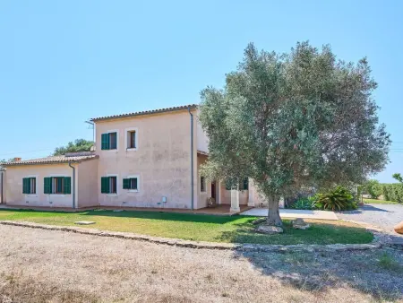 Miralu, Maison 10 personnes à Santanyí - Photo 7