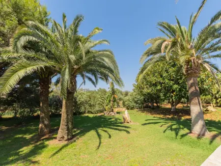 Jardi, Maison 8 personnes à Santanyí - Photo 3