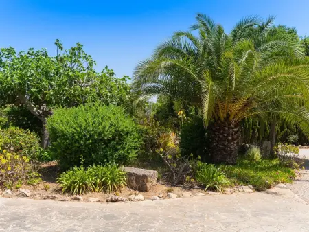 Palleta, Maison 8 personnes à Cala d'Or - Photo 2