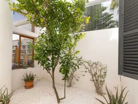 Ocala, Maison 6 personnes à Cala d'Or - Photo 17