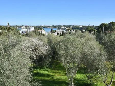 Corso, Maison 6 personnes à Portocolom - Photo 39