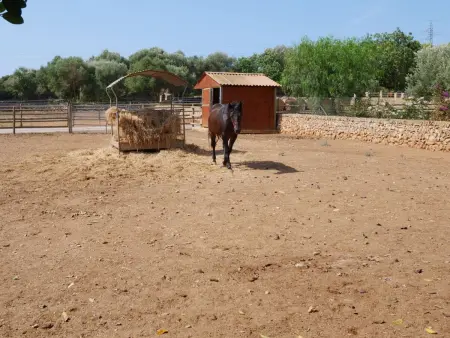 Finca Tort, Maison 12 personnes à Portocolom - Photo 52