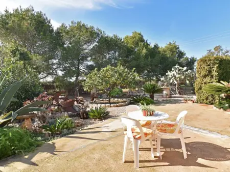 Hort de sa Barrala, Maison 5 personnes à Campos - Photo 22