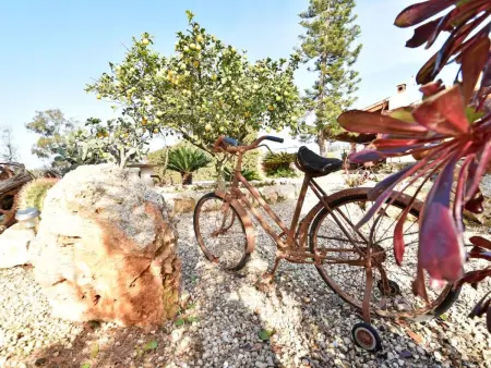 Hort de sa Barrala, Maison 5 personnes à Campos - Photo 27