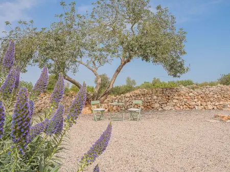 Tanca Gran, Maison 4 personnes à Felanitx - Photo 5