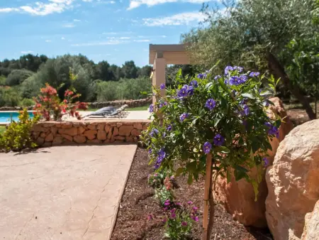 Salas Nou, Maison 8 personnes à Felanitx - Photo 7