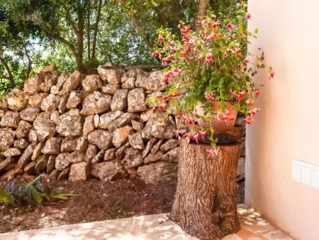 Salas Nou, Maison 8 personnes à Felanitx - Photo 45