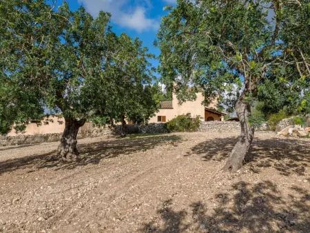 Fontanet Binifarda, Maison 6 personnes à Felanitx - Photo 7