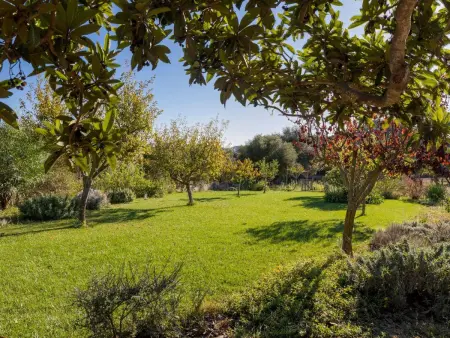 Fontanet Binifarda, Maison 6 personnes à Felanitx - Photo 31
